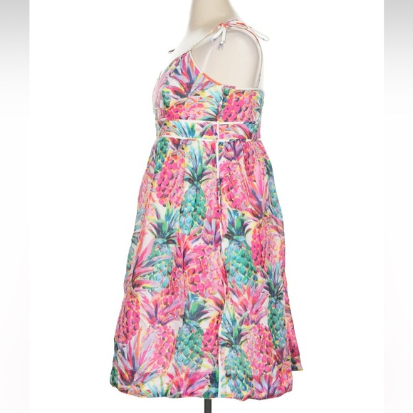 J. Crew Pineapple Tropical Resort Summer Dress Bloggers Favorite Size 14 Large - Picture 5 of 11
